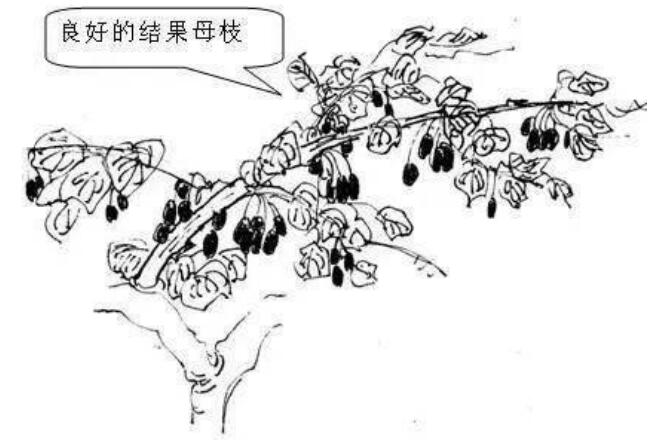 1720081017644193.jpg QQ截圖20240704160022.jpg