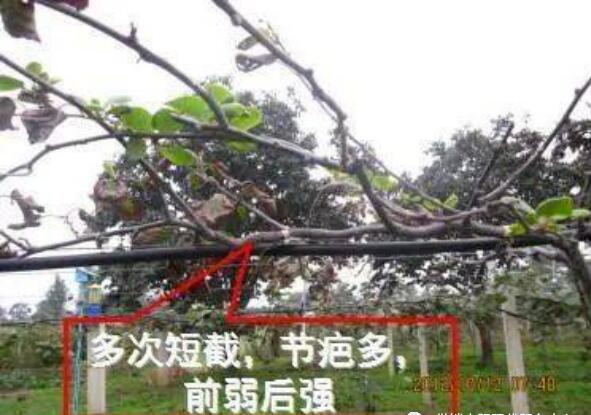 1720081453152504.jpg QQ截圖20240704160357.jpg